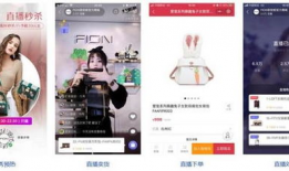 直播性爱软件,揭秘网络性交易的隐秘世界